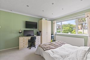 Photo 2- click for photo gallery